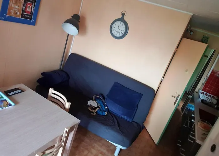 Cap D'agde , Location Saisonniere 2 4 6 Personnes , 1 , Cap D'agde